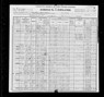 1900 US Census Dora Brabham